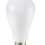 Żarówka LED 17W E27 6500K