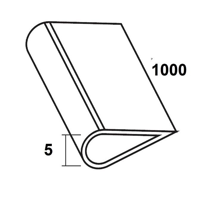 Profil zaciskowy PVC biały połysk 5x1000