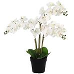 Sztuczna orchidea 3-pędowa Planta Artf w doniczce 90 cm