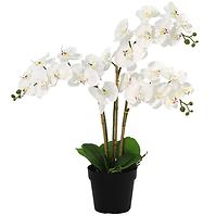 Sztuczna orchidea 3-pędowa Planta Artf w doniczce 90 cm