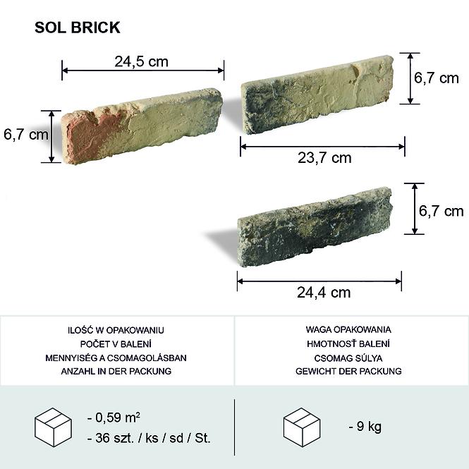 Kamień Gipsowy Sol Brick