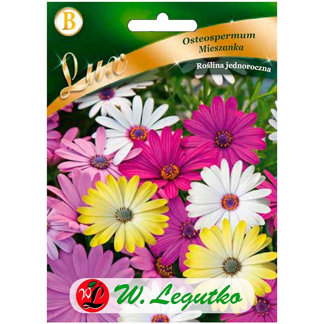 Osteospermum, mieszanka