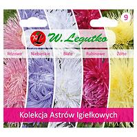 Kolekcja Astrów igiełkowych