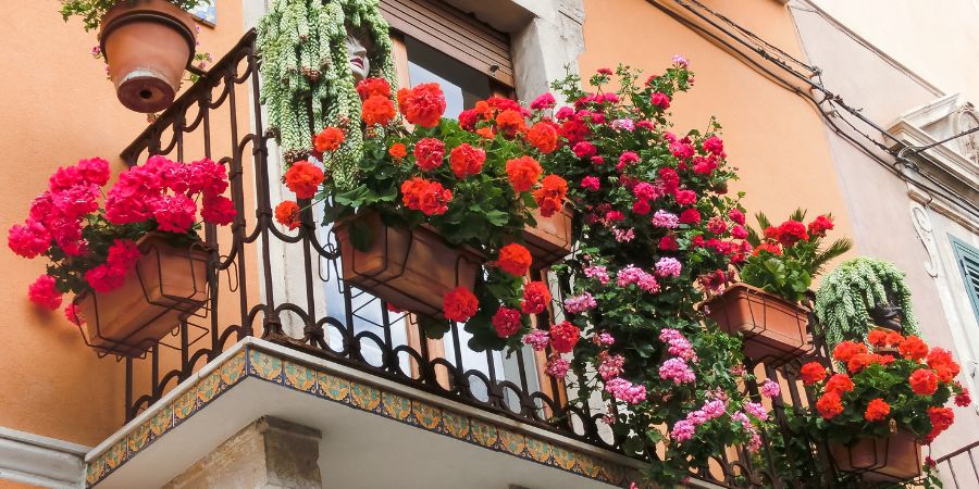 balkon z kwiatami