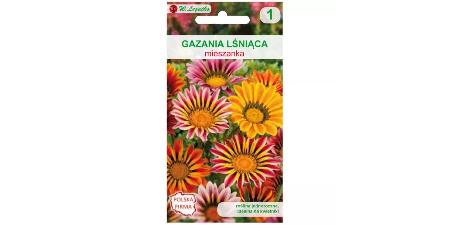 gazania w Merkury Market