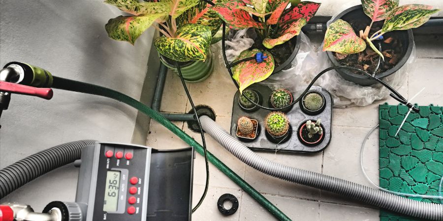 automatyczne podlewanie roślin